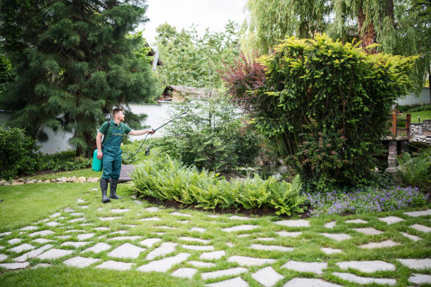 Best Residential Pest Control  in Red Bud, IL