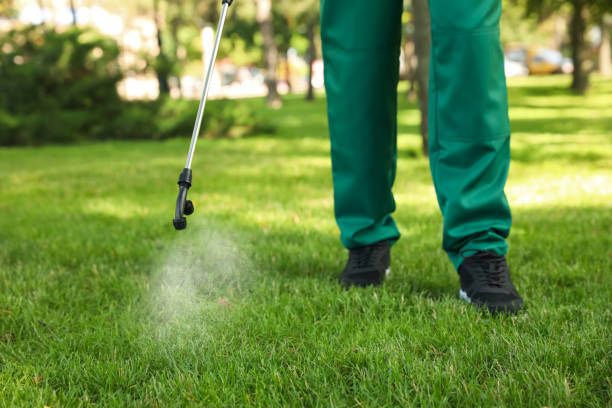 Reliable Red Bud, IL Pest Control Solutions