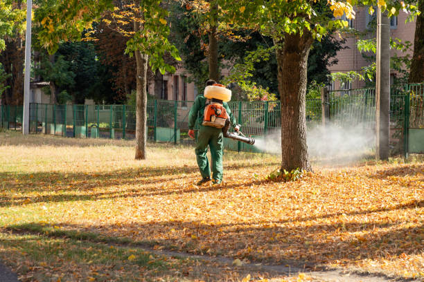 Best Local Pest Control Services  in Red Bud, IL