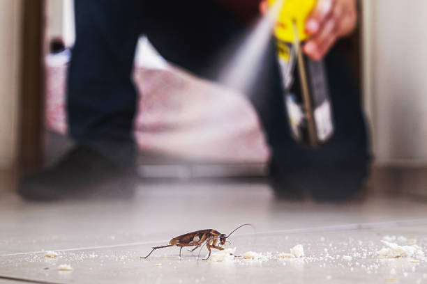 Wasp Removal Services in Red Bud, IL