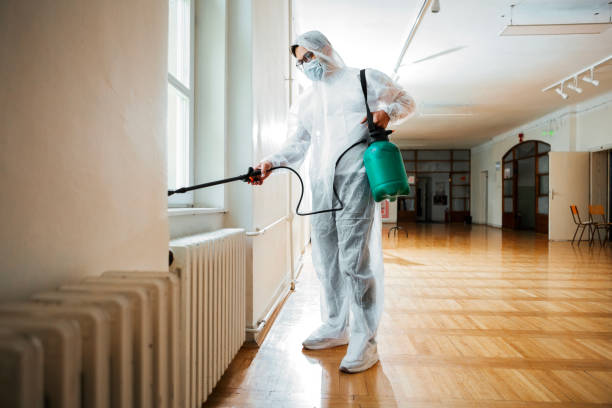 Best Ant Control Services  in Red Bud, IL