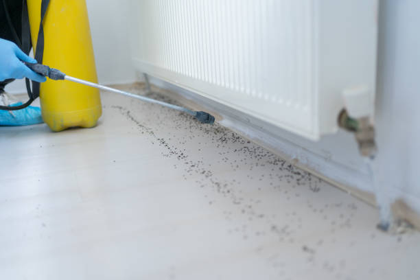 Best Mosquito Control Services  in Red Bud, IL