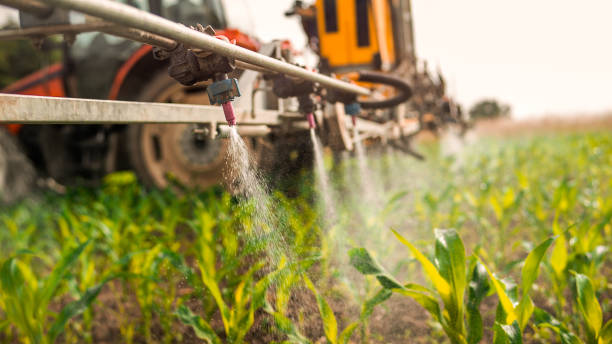 Best Pest Removal Services  in Red Bud, IL
